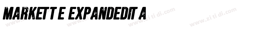 Markette ExpandedIta字体转换